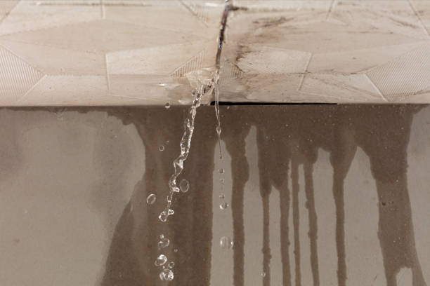 Professional Water Damage Repair technician working in Le Roy, IL